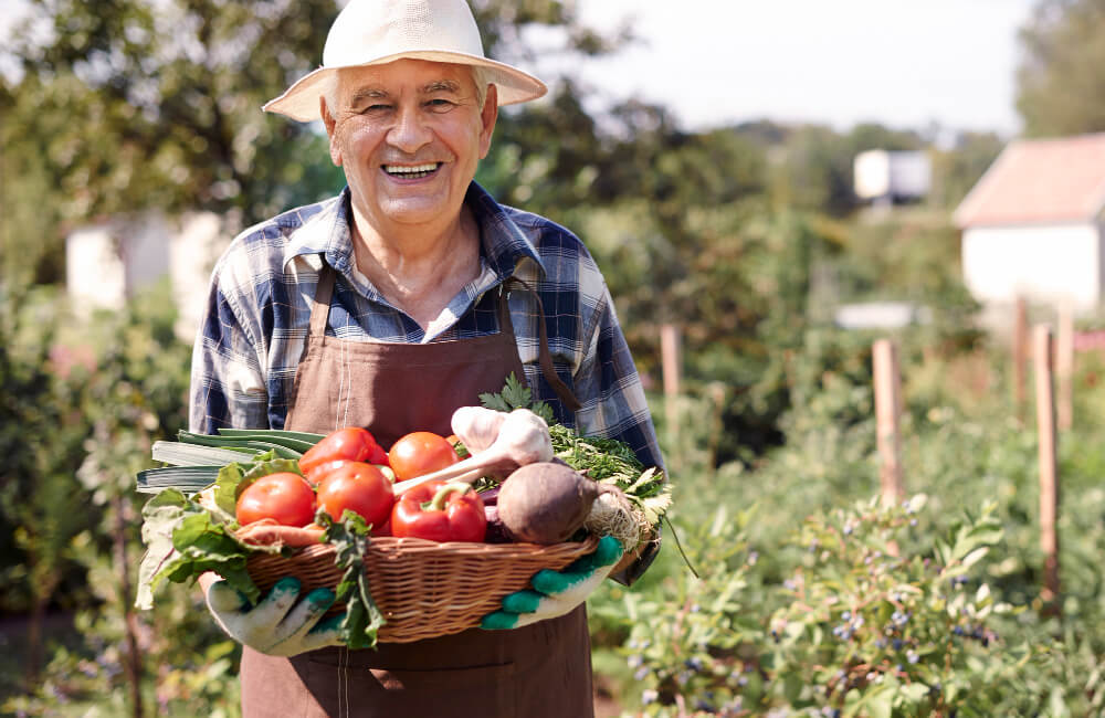 The Role of Technology in Modern Farming